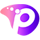 paneliniz logo