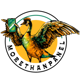 Morethanpanel Logo