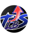 Teamluxusboostingservices Logo