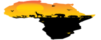 Africansmmpanel Logo