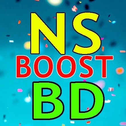 Nsboostbd Logo