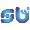 Sosyalbayin Logo