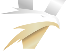 Viasmm Logo