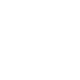 Worldsmm Logo